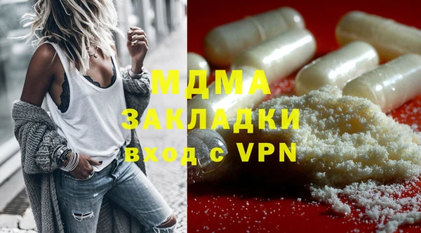 гидра Няндома
