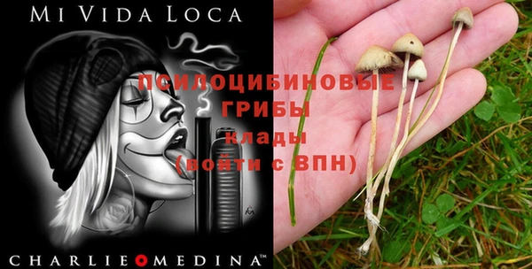 скорость Алексеевка
