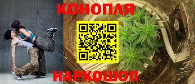 марихуана Камышлов