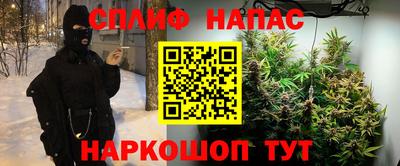 гидра Кандалакша