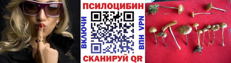 ссылка на мегу   Мирный  Псилоцибиновые грибы Magic Shrooms 