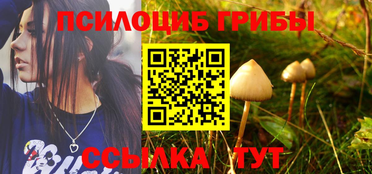 Галлюциногенные грибы мухоморы  Галлюциногенные грибы Cubensis  Вход с VPN  Мирный 
